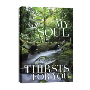 My Soul Thirsts 24in x 36in Canvas Prints