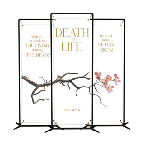 Death To Life Blossom Triptych 2' x 6' Banner