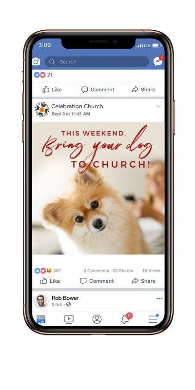 can dogs go to church
