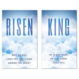 Risen King 3 x 5 Vinyl Banner