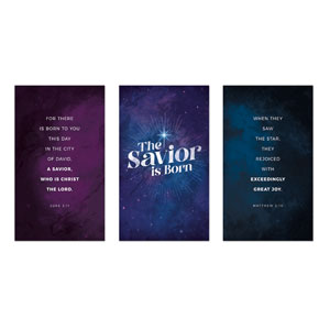 Savior Is Born Sky Triptych 3 x 5 Vinyl Banner