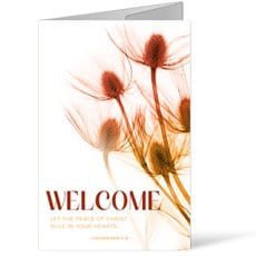 Xray Flowers Fall 