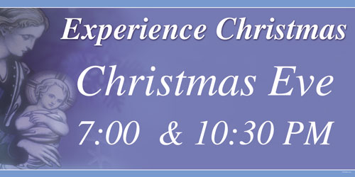 Banners, Christmas, Experience Christmas - 8, 4' x 8'