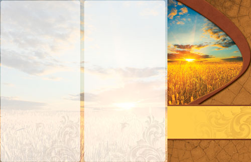 Bulletins, Nature, Sunrise Wheat - 11x 17, 11 x 17