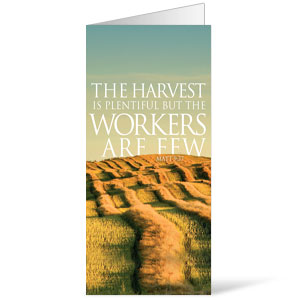 Reflections Harvest 11 x 17 Bulletins