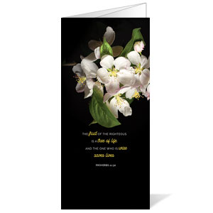 Illuminated Spring Bulletins