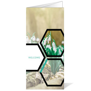 Welcome Hexagon Spring Bulletins