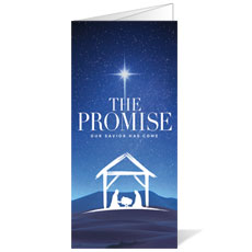 The Promise Manger 