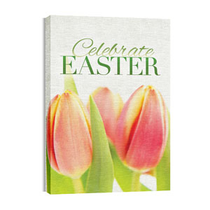 Tulips Triptych M 24in x 36in Canvas Prints