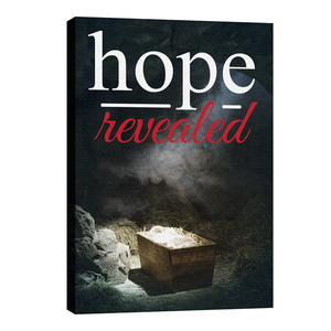 Hope Revealed Manger 24in x 36in Canvas Prints