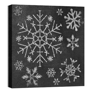 Mod Chalk Snowflakes 24 x 24 Canvas Prints