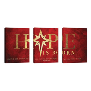 Hope Is Born Star Triptych 24in x 36in Canvas Prints