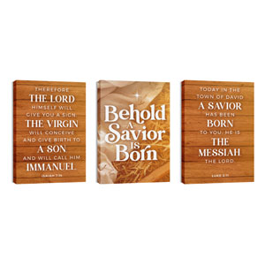 Behold A Savior Triptych 24in x 36in Canvas Prints