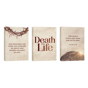 Death To Life Crown Triptych 24in x 36in Canvas Prints