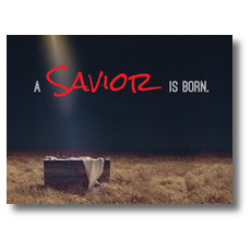 Savior Born 