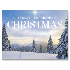 Hope of Christmas Trees 