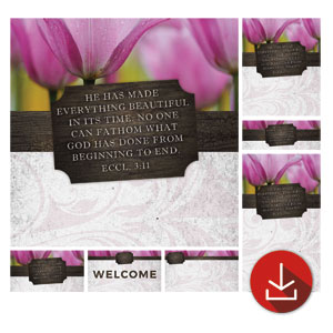 Fresh Air Tulips Church Graphic Bundles