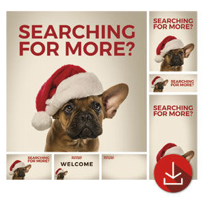 Santa Hat Puppy Church Graphic Bundles