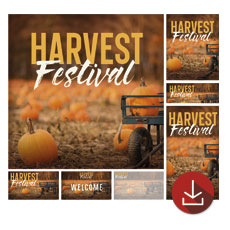 Harvest Festival Pumpkins 