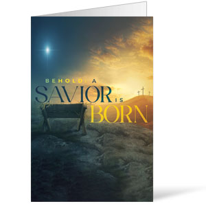 Behold A Savior Is Born Bulletins 8.5 x 11
