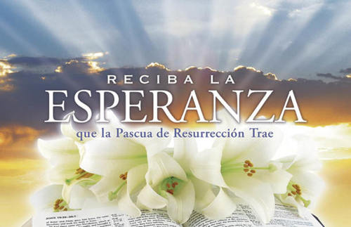 Church Postcards, Easter, Easter Brings Hope - ESP, 5.5 X 8.5