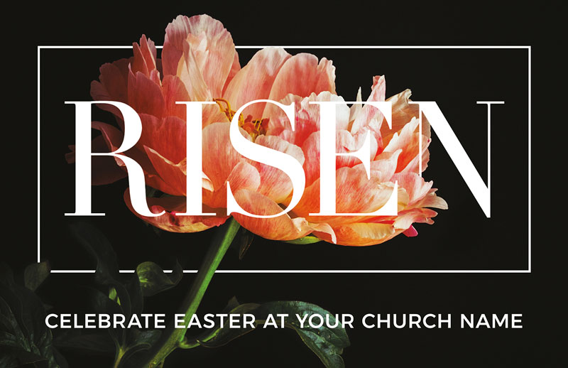 Church Postcards, Easter, Risen Flower, 5.5 X 8.5