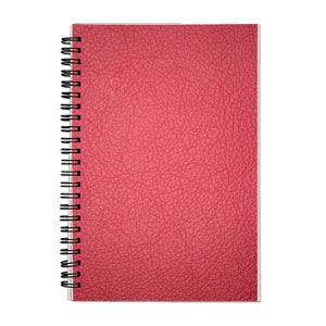 Red Leather Pattern Lined Journal