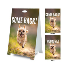 Come Back Fall Dog 