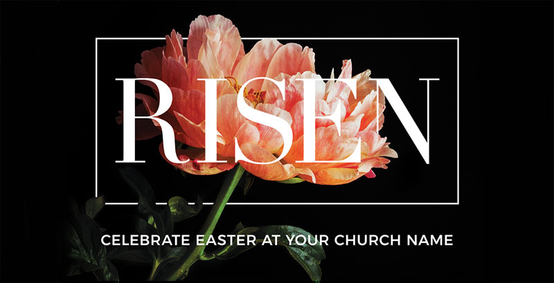 Church Postcards, Easter, Risen Flower, 5.5 x 11