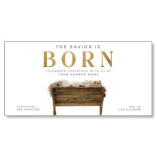 Born Manger 