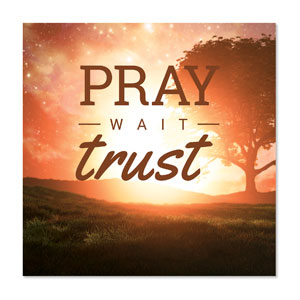 Pray Wait Trust 23" x 23" Rigid Wall Art
