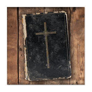 Mod Bible 1 23" x 23" Rigid Wall Art