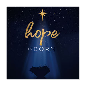 Christmas Star Hope is Born 23" x 23" Rigid Wall Art