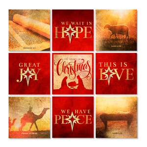 Mod Hope Is Born Star Set 23" x 23" Rigid Wall Art