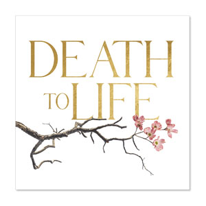 Death To Life Blossom 23" x 23" Rigid Wall Art