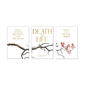 Death To Life Blossom Triptych 23" x 34.5" Rigid Wall Art