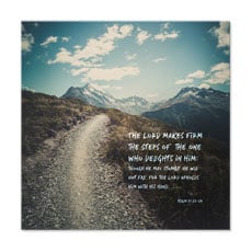 Promises of God Psalm 37:23-24 