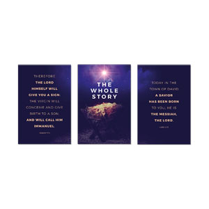 Whole Story Triptych 23" x 34.5" Rigid Wall Art