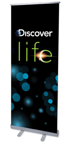 Banners, New Years, Discover Life, 2'7 x 6'7