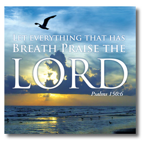 Breath Praise Lord StickUp