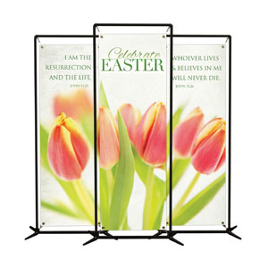 Tulips Triptych 2' x 6' Banner
