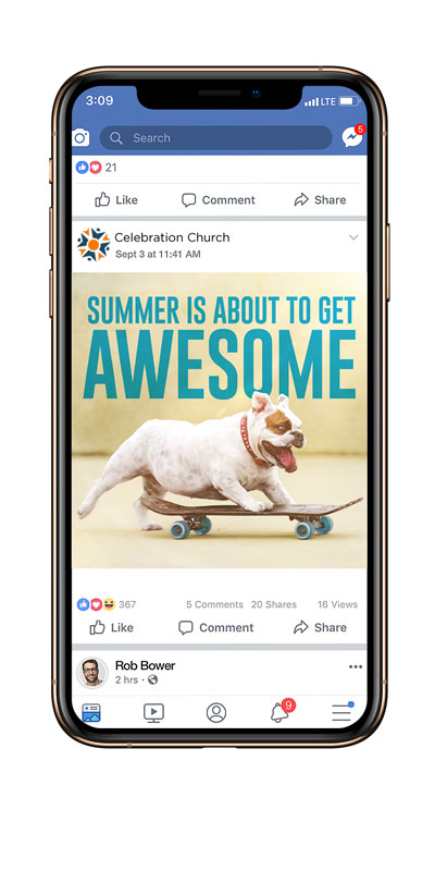 Social Ads, Summer - General, Awesome Summer Dog