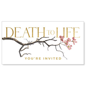 Death To Life Blossom Social Media Ad Packages