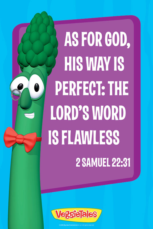 Banners, Scripture, VeggieTales 2 Sam 22:31, 24 x 36