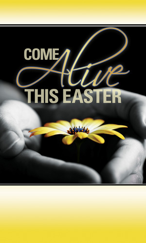 Banners, Easter, Come Alive Easter, 3 x 5