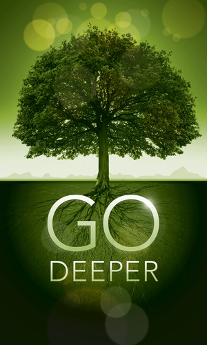 Banners, Ministry, Go Deeper Roots, 3 x 5