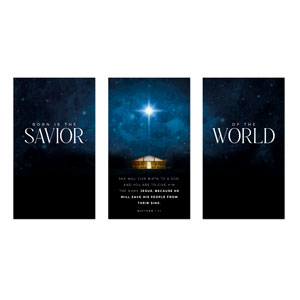 Savior of the World Triptych 3 x 5 Vinyl Banner