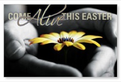 Come Alive Easter 