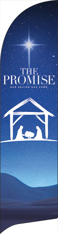 Banners, Christmas, The Promise Manger, 2' x 8.5'